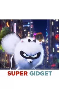 watch-Super Gidget