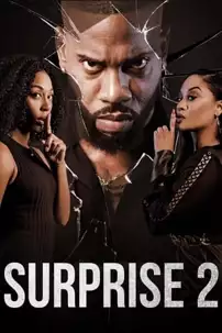 watch-Surprise 2