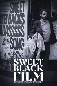 watch-Sweet Black Film: The Birth of the Black Hero in Hollywood