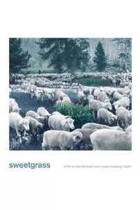 watch-Sweetgrass