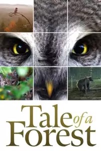 watch-Tale of a Forest