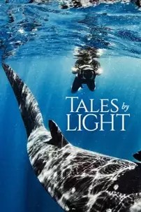watch-Tales by Light