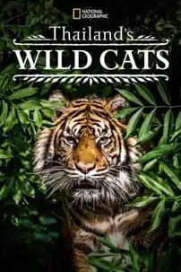 watch-Thailand’s Wild Cats