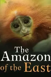 watch-The Amazon of the East