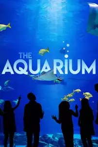 watch-The Aquarium