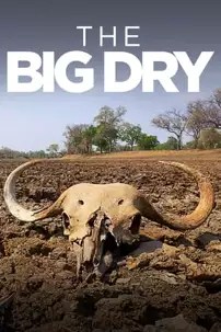 watch-The Big Dry