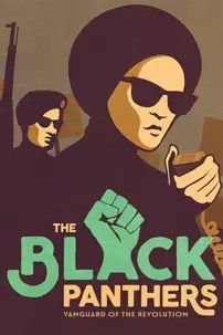 watch-The Black Panthers: Vanguard of the Revolution