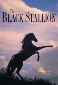 watch-The Black Stallion