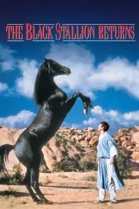 watch-The Black Stallion Returns