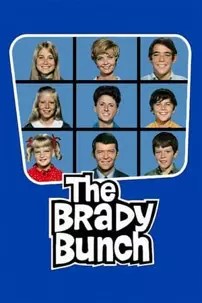 watch-The Brady Bunch