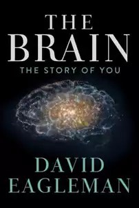 watch-The Brain with David Eagleman
