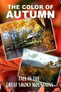 watch-The Color of Autumn: Fall in the Great Smoky Mountains