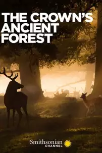 watch-The Crown’s Ancient Forest