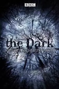 watch-The Dark: Nature’s Nighttime World