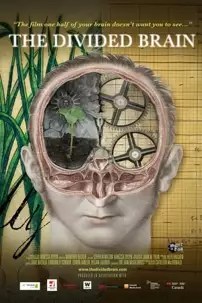 watch-The Divided Brain