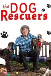 watch-The Dog Rescuers with Alan Davies