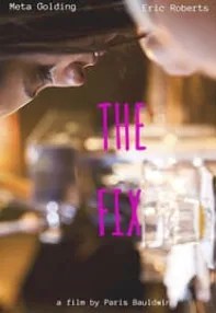 watch-The Fix