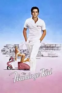 watch-The Flamingo Kid