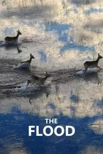 watch-The Flood