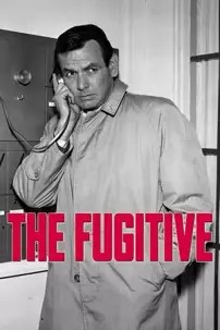watch-The Fugitive