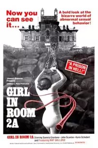 watch-The Girl in Room 2A