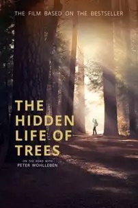 watch-The Hidden Life of Trees