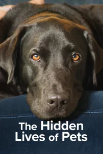 watch-The Hidden Lives of Pets