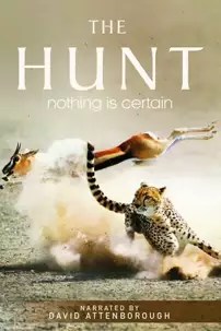 watch-The Hunt