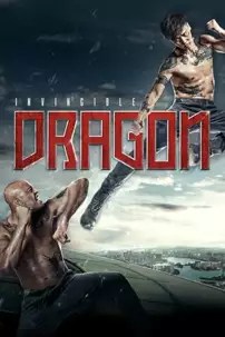 watch-The Invincible Dragon