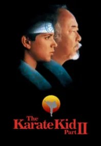 watch-The Karate Kid Part II