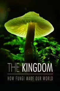 watch-The Kingdom: How Fungi Made Our World