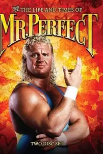 watch-The Life and Times of Mr. Perfect