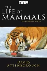 watch-The Life of Mammals