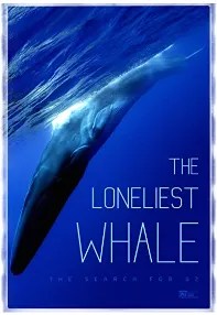 watch-The Loneliest Whale: The Search for 52