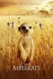 watch-The Meerkats