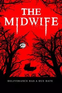 watch-The Midwife