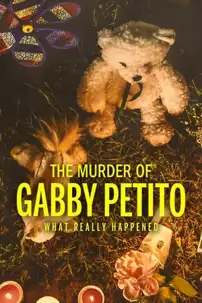 watch-The Murder of Gabby Petito: What Really Happened