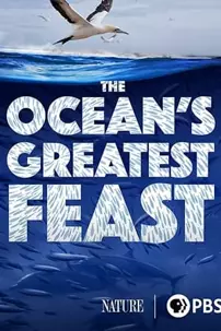 watch-The Ocean’s Greatest Feast