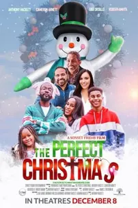 watch-The Perfect Christmas