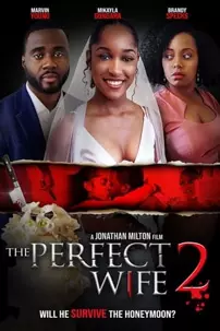 watch-The Perfect Wife 2