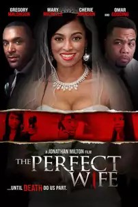 watch-The Perfect Wife