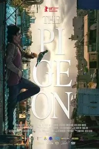 watch-The Pigeon