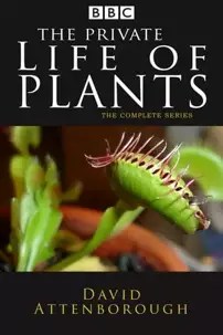 watch-The Private Life of Plants