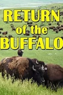 watch-The Return of the Buffalo: Restoring the Great American Prairie