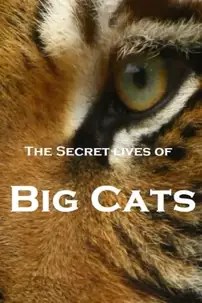 watch-The Secret Lives of Big Cats