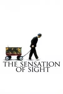 watch-The Sensation of Sight