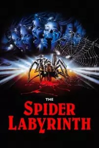 watch-The Spider Labyrinth