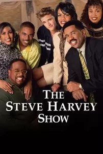 watch-The Steve Harvey Show