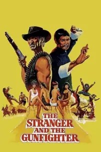 watch-The Stranger and the Gunfighter