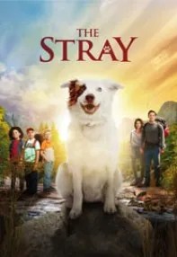 watch-The Stray